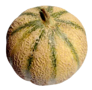 45_melon_PNG14373