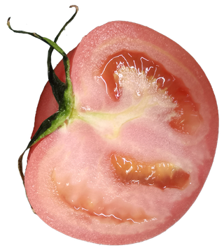 粉红色半个番茄切开带叶片免抠元素实物摄影素材