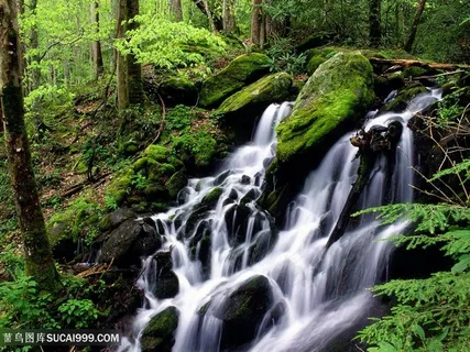 唯美瀑布风景画壁纸 唯美瀑布风景画壁纸