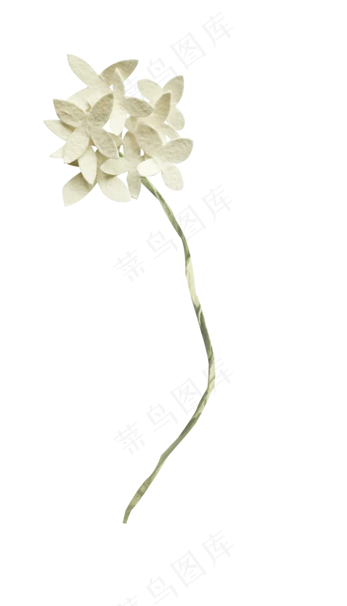 纸花免抠 