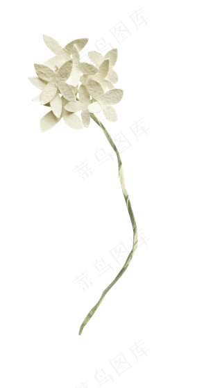 纸花免抠 