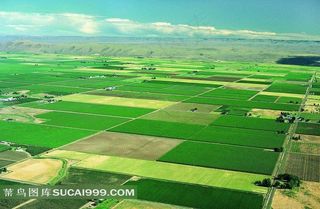 田园风光片片农田