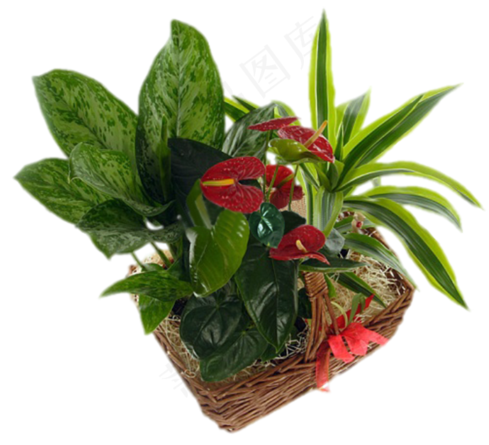 花饰和花束 