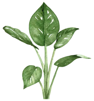 盆栽花草植物免扣植物水彩插画设计素材