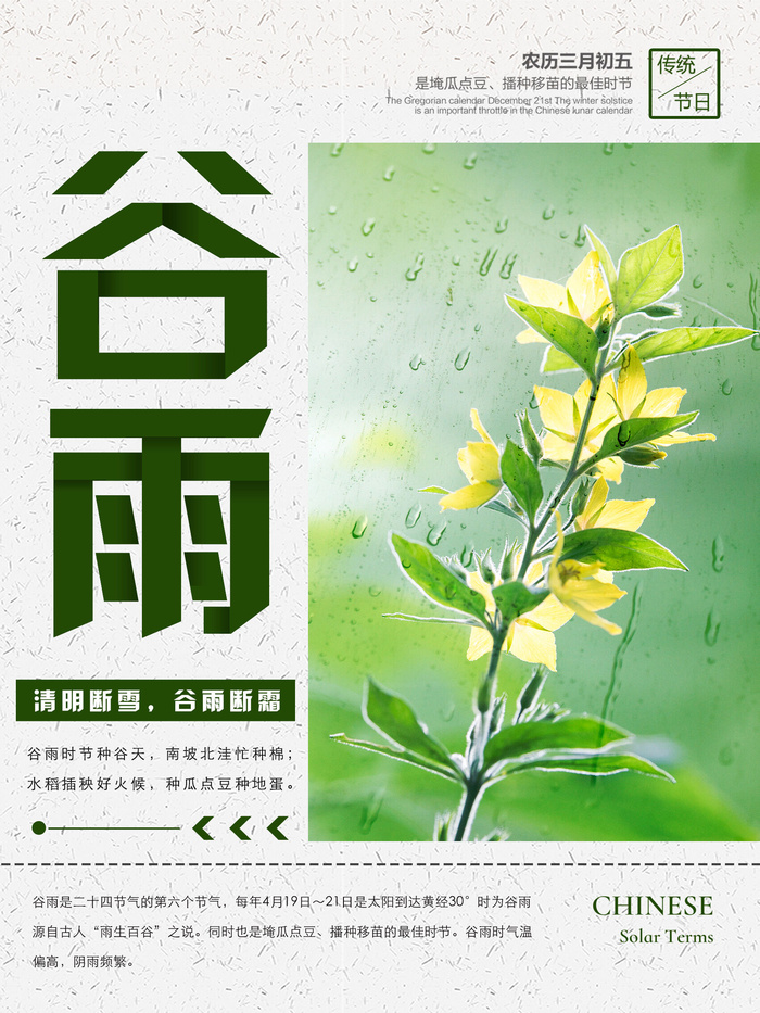 谷雨二十四节气海报设计psd模版下载