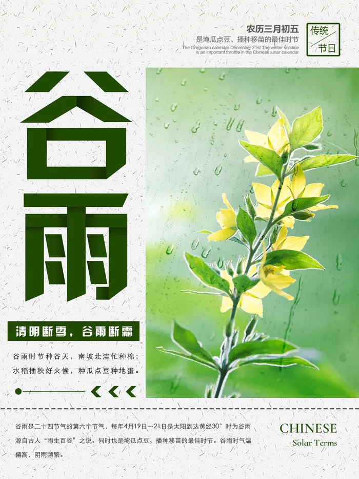 谷雨二十四节气海报设计psd模版下载