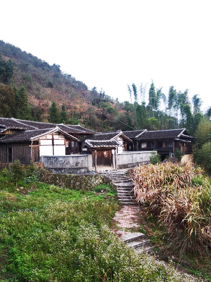 远处白墙黛瓦复古建筑