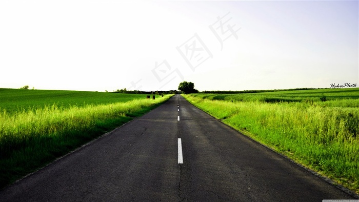 笔直草丛间平原公路