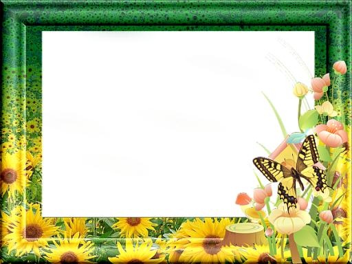 图片,相框PNG免抠