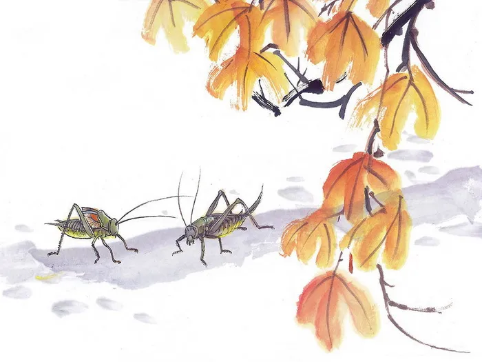 图片素材背景传统文化