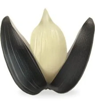 向日葵种子 PNG免抠