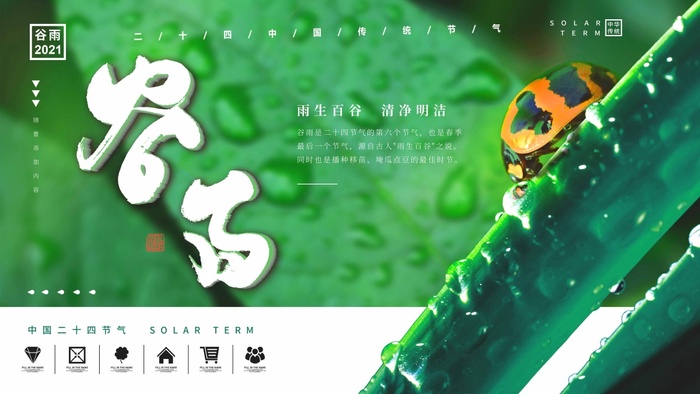 谷雨 谷雨促销海报