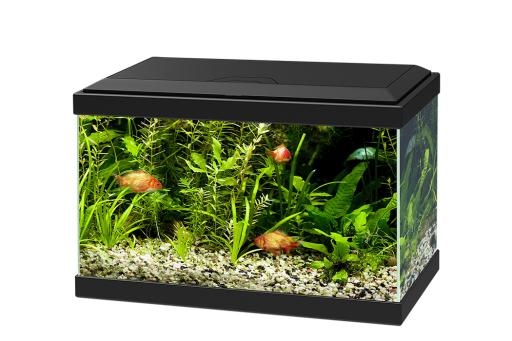 水族馆 PNG免抠