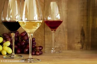 葡萄与葡萄酒高清图片