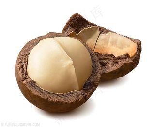 美味夏威夷果坚果高清图