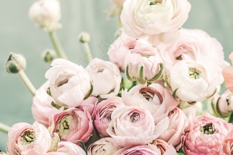 茶花花束图片 茶花花束图片
