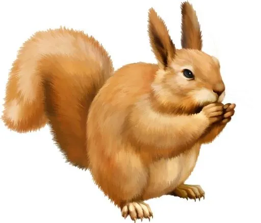 松鼠 PNG免抠(1024x874)