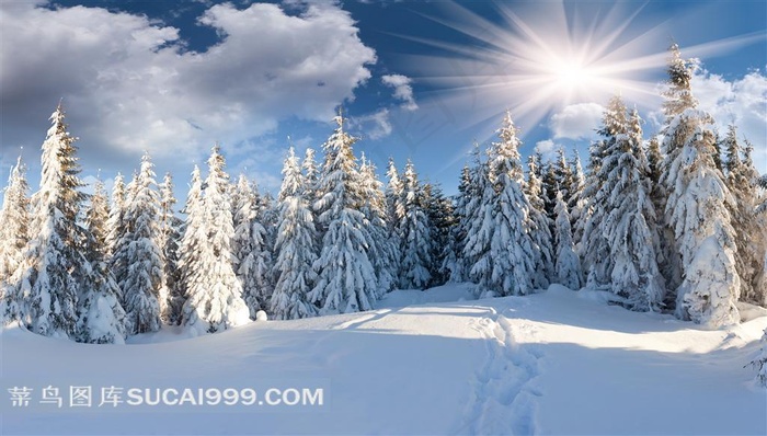 美丽的冬季雪景