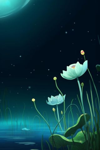 国风夜晚荷花荷叶大气背景