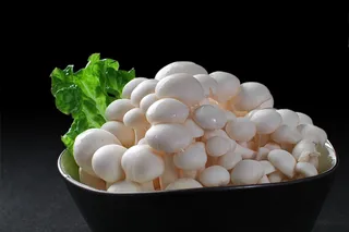 蘑菇香菇金针菇杂菇菌类美食素菜