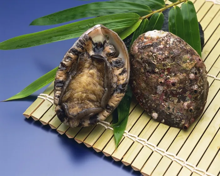 火锅菜品配菜鲍鱼海鲜高端海鲜