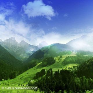 绿色高山森林风景图片