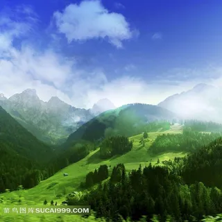 绿色高山森林风景图片