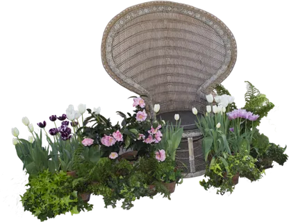 绿植花朵素材春天谷雨