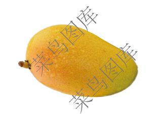 芒果高清图