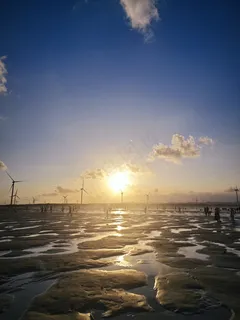 大海日落的图片