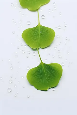 白底绿叶简约清新背景