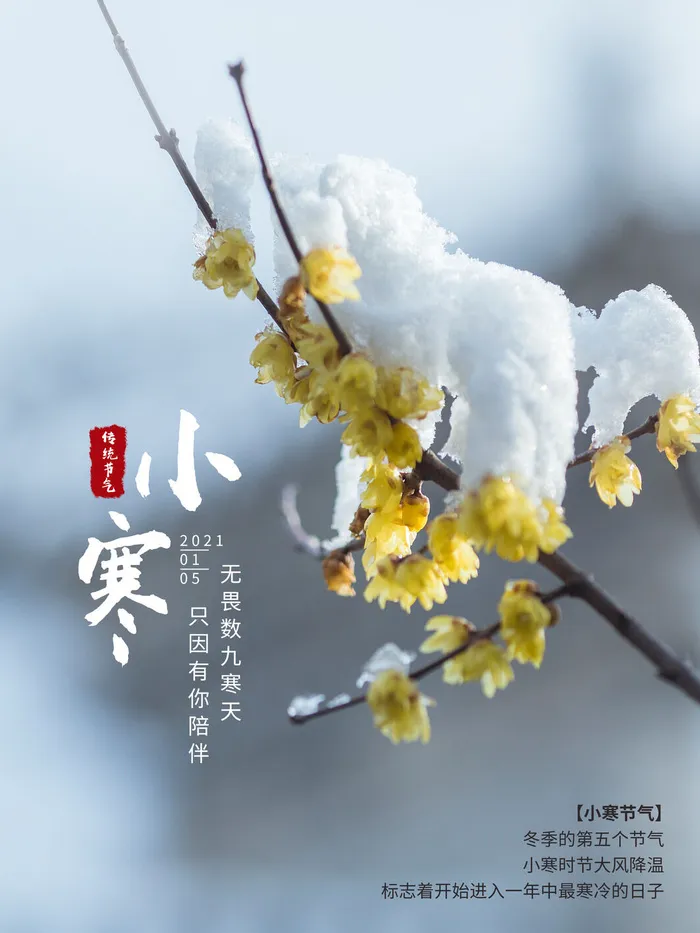 中国传统冬天小寒祝福24二十四节气节日宣传活动海报psd模版下载