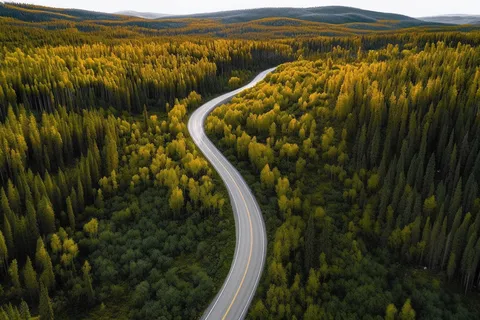 森林山脉里蜿蜒的公路摄影图 森林山脉里蜿蜒的公路摄影图