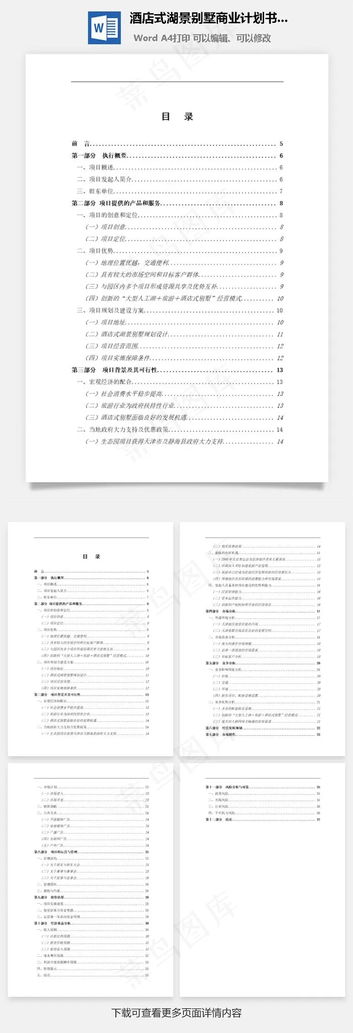 酒店式湖景别墅商业计划书word文档