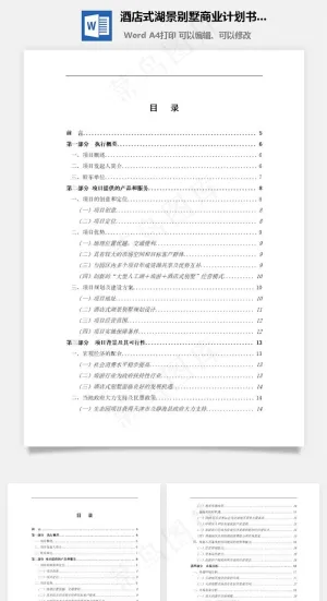 酒店式湖景别墅商业计划书word文档
