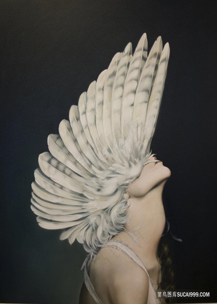 高清翅膀女孩装饰画