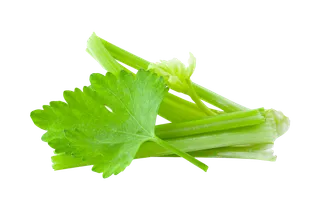 西芹 (8)超市商品白底图免抠实物摄影png格式图片透明底