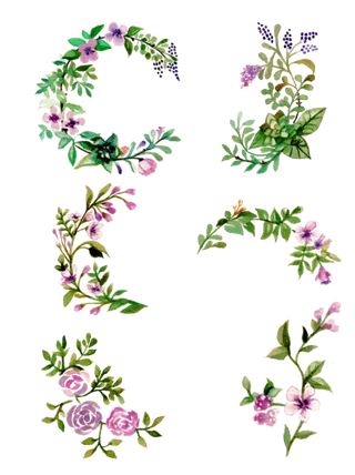 春天手绘鲜花花卉