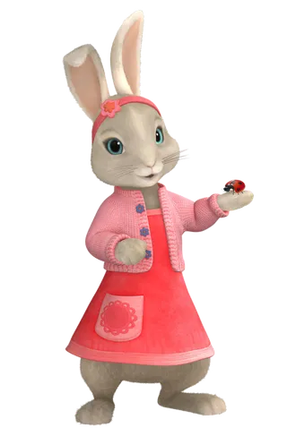 粉红女郎兔子兔年