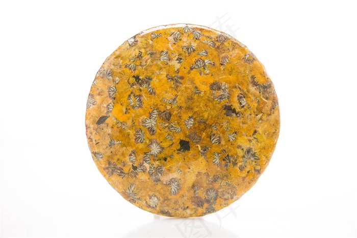 黄菊花茶饼摄影