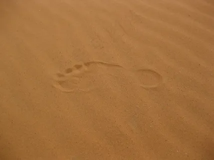 沙漠脚印图片