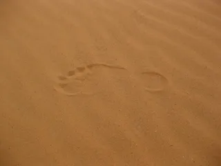 沙漠脚印图片