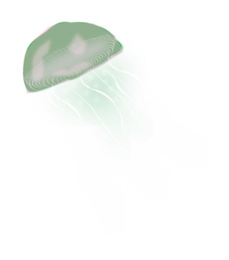 水母 PNG免抠(522x593)