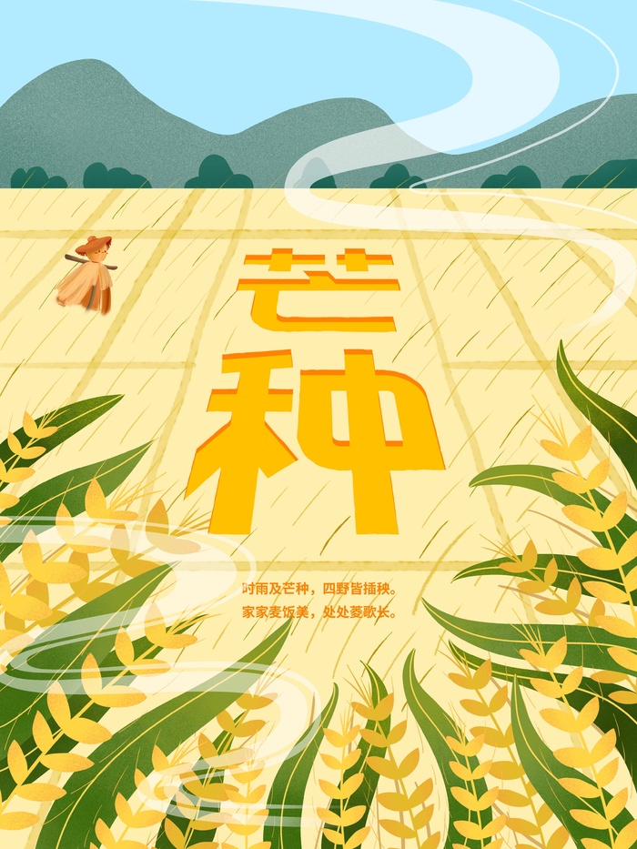 芒种 芒种海报psd模版下载