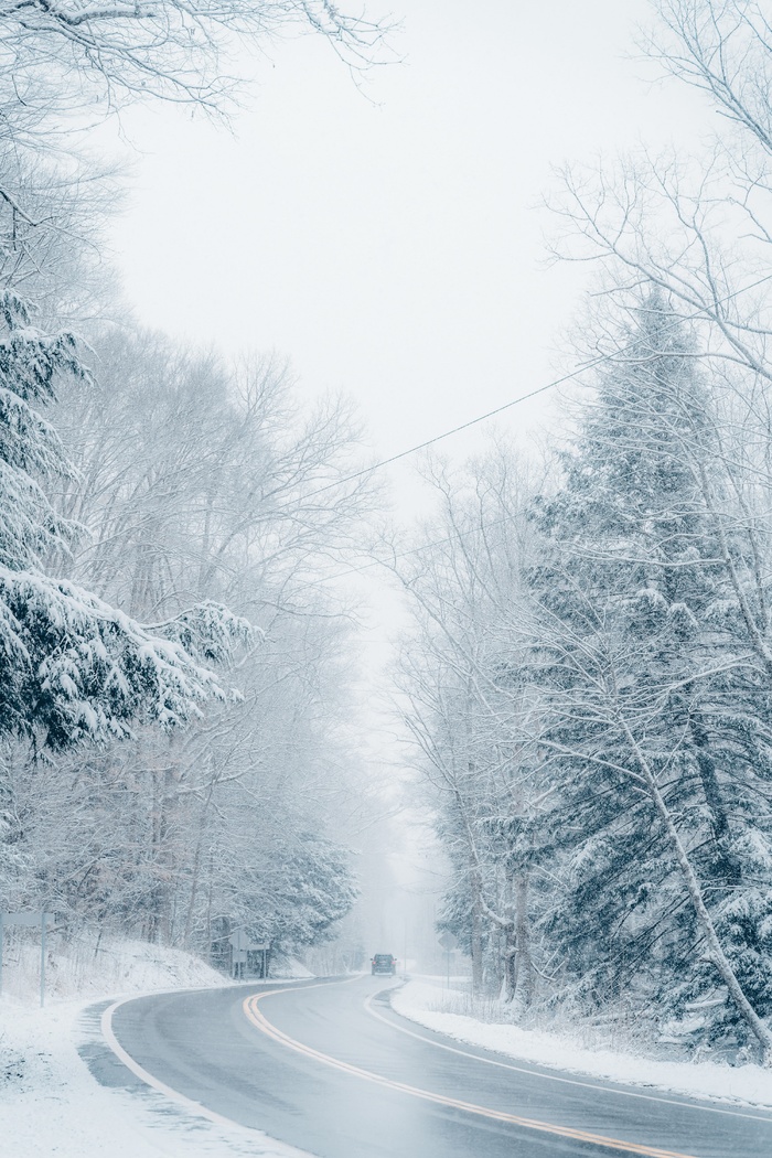 冬天白雪林木背景风景