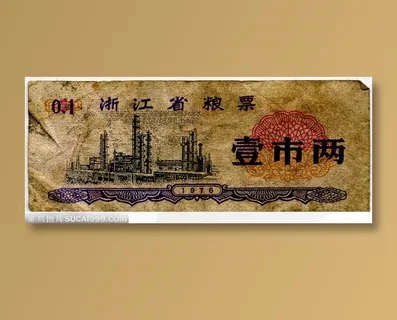 一张最小面值的浙江旧粮票的正面特写 一张最小面值的浙江旧粮票的正面特写