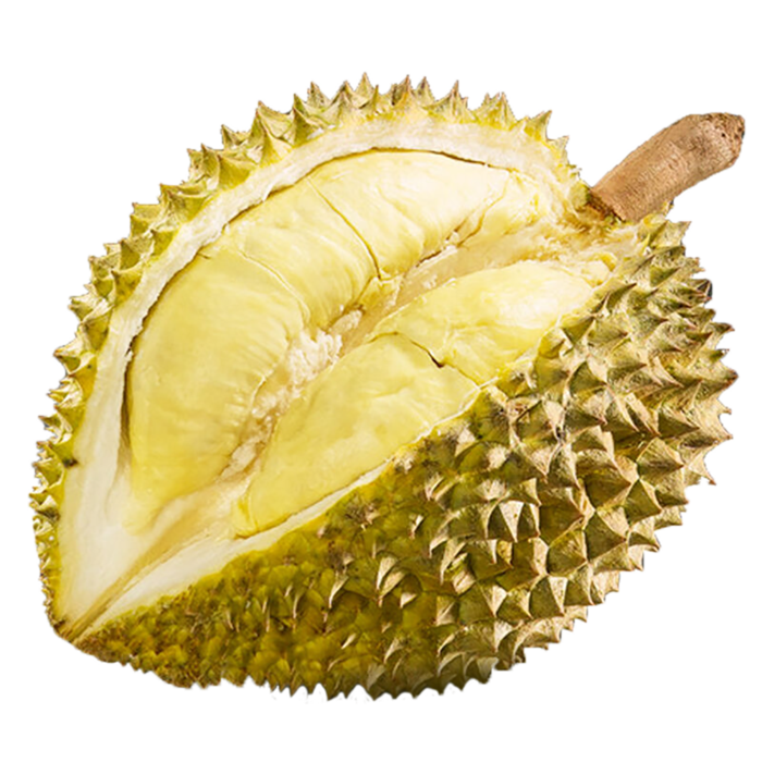 开口榴莲素材免扣