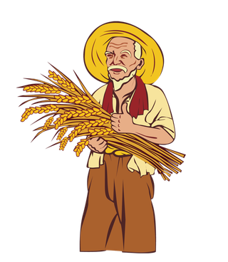 现代农业种植老人