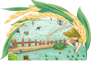 稻穗 水稻 插秧  古代农耕