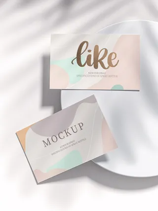 高端大气商务名片样机